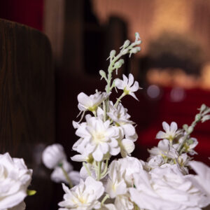 Elegant white flowers gracefully arranged in a serene setting with blurred red and brown background hues creating a warm and inviting atmosphere in the foreground.